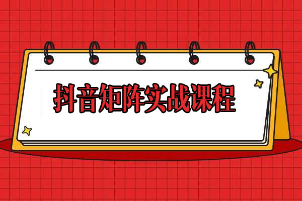 抖音矩阵实战课程:实战技巧让学员轻松从新手到100万粉丝变现实操-百万资源网