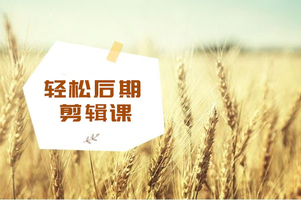 轻松后期剪辑课：15节课掌握剪辑技巧，制作精彩之作！-百万资源网