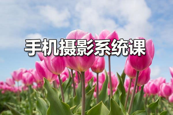 手机摄影系统课：0基础让你的手机拍照更有灵魂-百万资源网