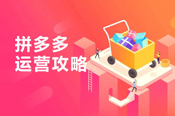 拼多多运营攻略: 深入探索拼多多运营核心技能-百万资源网