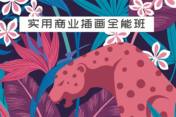 罗雨舒实用商业插画全能班（视频+资料）-百万资源网
