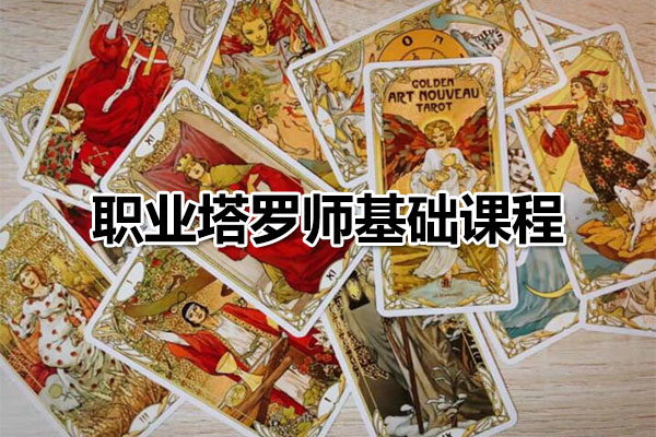 海豚-职业塔罗师基础课程长线班-百万资源网