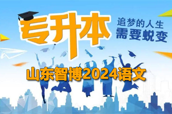 2024山东智博专升本语文网课及资料(视频+资料)-百万资源网