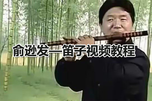 俞逊发—笛子视频教程-百万资源网