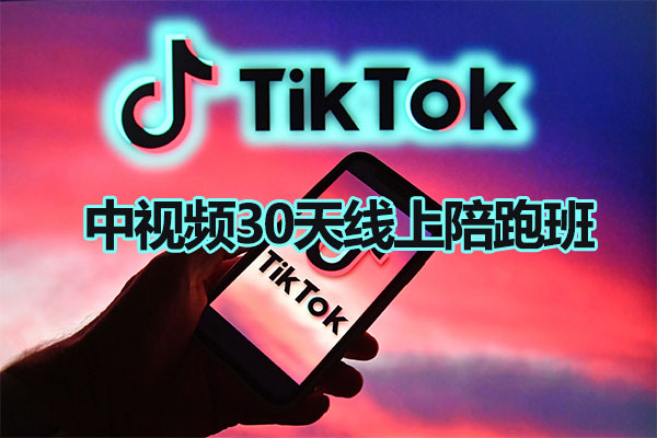 TikTok中视频30天线上陪跑班:注册养号素材剪辑搭建制作提现全流程教学-百万资源网