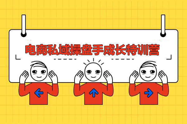 电商私域操盘手成长特训营：从小白到操盘高手全程实战分享-百万资源网
