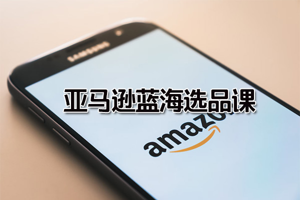 亚马逊蓝海选品课:新手小白卖家如何轻松日出几十单小爆款产品-百万资源网