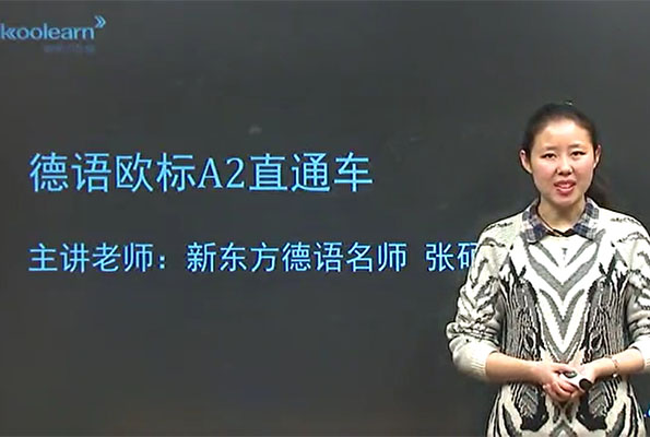 新东方德语欧标A2直通车张硕（视频+讲义）-百万资源网
