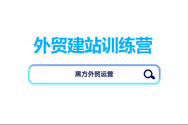 外贸建站训练营：谷歌B端独立站建站推广一体化教程-百万资源网