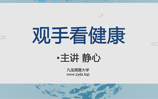 九龙道长弟子班内容静心老师手相课程-百万资源网