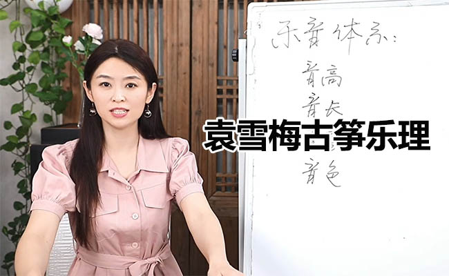 袁雪梅古筝乐理：精通音符、节奏与转调-百万资源网