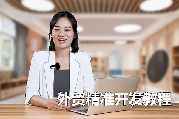 外贸精准开发教程：从领英到Facebook，解锁全球客户开发秘籍-百万资源网