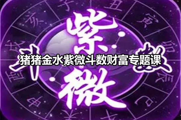 猪猪金水紫微斗数财富专题课音频-百万资源网