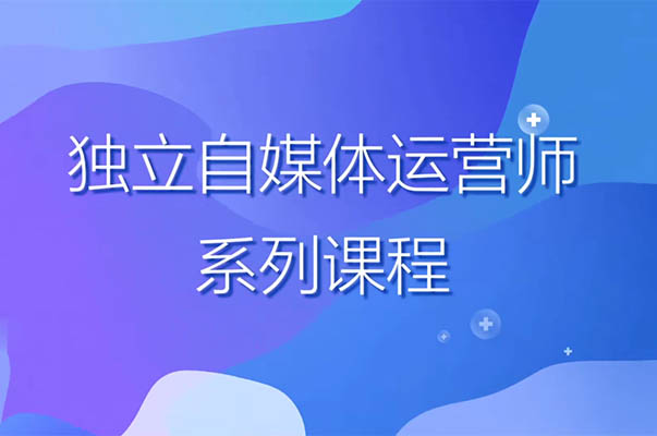 博老师·2024独立自媒体运营师特训营，快速成为自媒体领域的竞争力派！-百万资源网