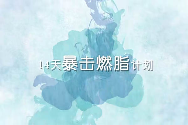 14天暴击燃脂计划刘壮：快速有效的全面身体改造挑战！-百万资源网