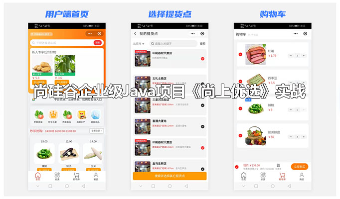 尚硅谷企业级Java项目《尚上优选》实战（视频+代码+资料）-百万资源网