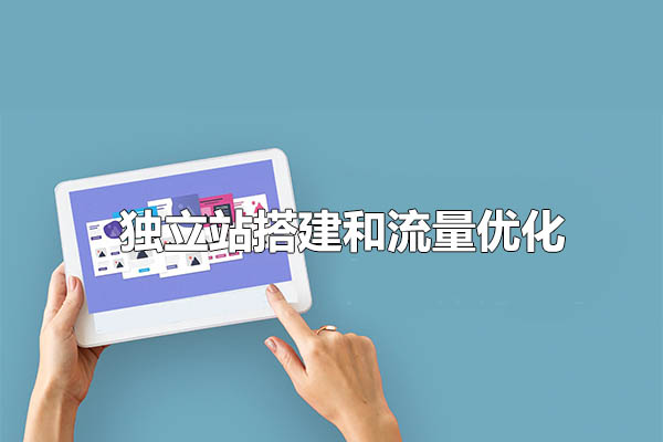 跨境小哥·独立站搭建和流量优化(三合一)教程-百万资源网