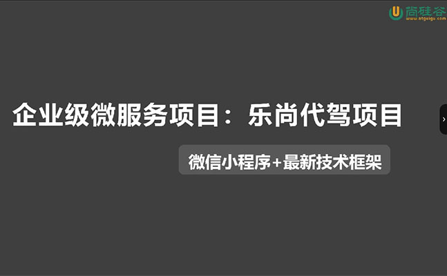 尚硅谷企业级微服务架构Java实战项目《乐尚代驾》(视频+代码+课件+资料)-百万资源网