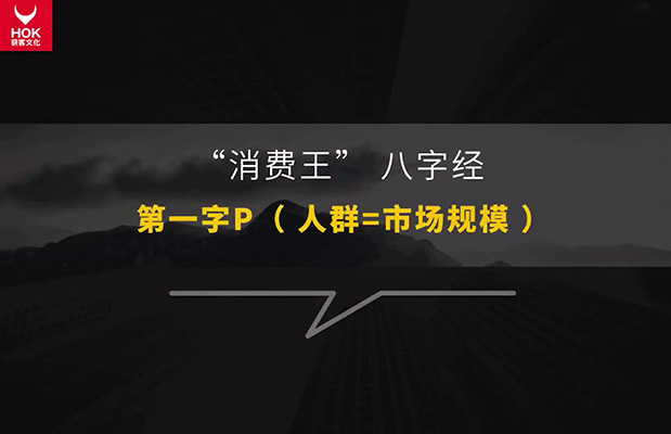 解码新兴品牌快速增长的实战案例与策略-百万资源网