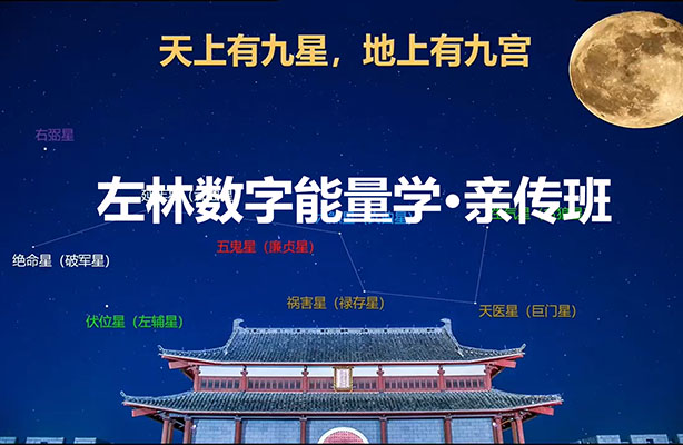 左林数字能量学·亲传班:解密数字背后的智慧与能量-百万资源网
