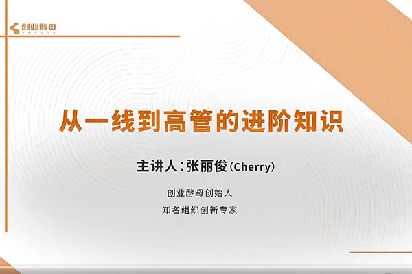从一线到高管的进阶知识:全方位提升职场领导力与管理技能-百万资源网
