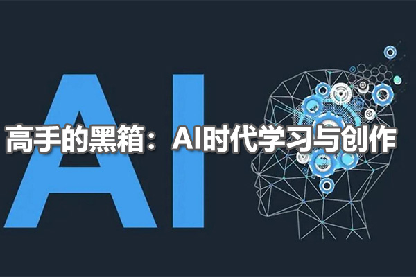 高手的黑箱:AI时代学习与创作-百万资源网