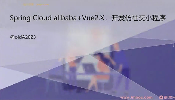Spring Cloud alibaba+Vue开发仿社交小程序（完整版19章视频+资料）-百万资源网