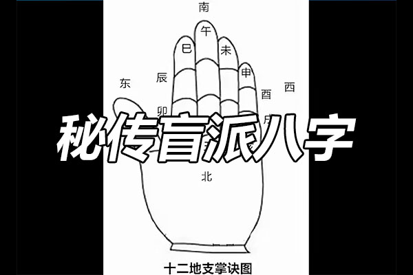 《秘传盲派八字》视频16集：掌握命运的奥秘，精准解析人生运势-百万资源网