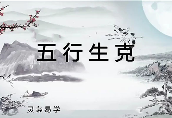 某八字学院出品，新手从零学四柱八字（153课）轻松学会-百万资源网