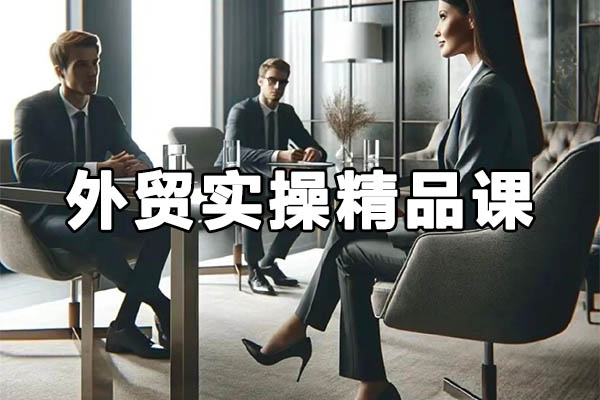外贸实操精品课:外贸谈判，新外贸形势下的全网营销-百万资源网