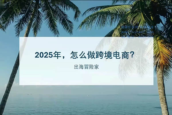 棕榈·2025出海新机遇：社媒+独立站运营的深度解析-百万资源网